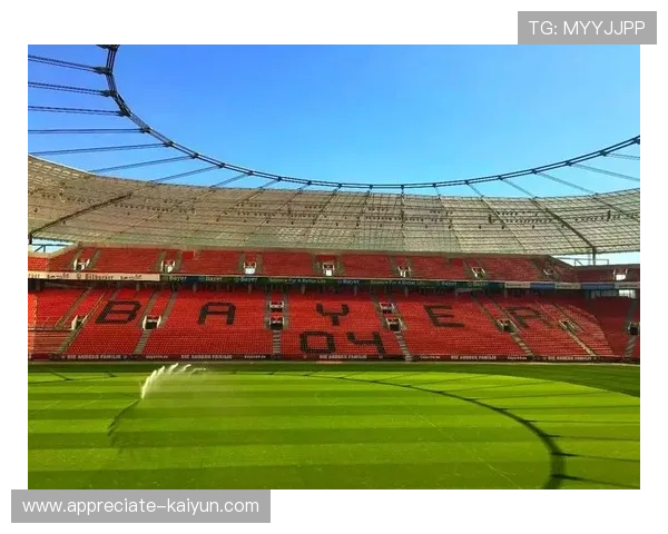 拜耳勒沃库森足球俱乐部的辉煌历史与未来发展展望 拜耳勒沃库森足球俱乐部的辉煌历史与未来发展展望